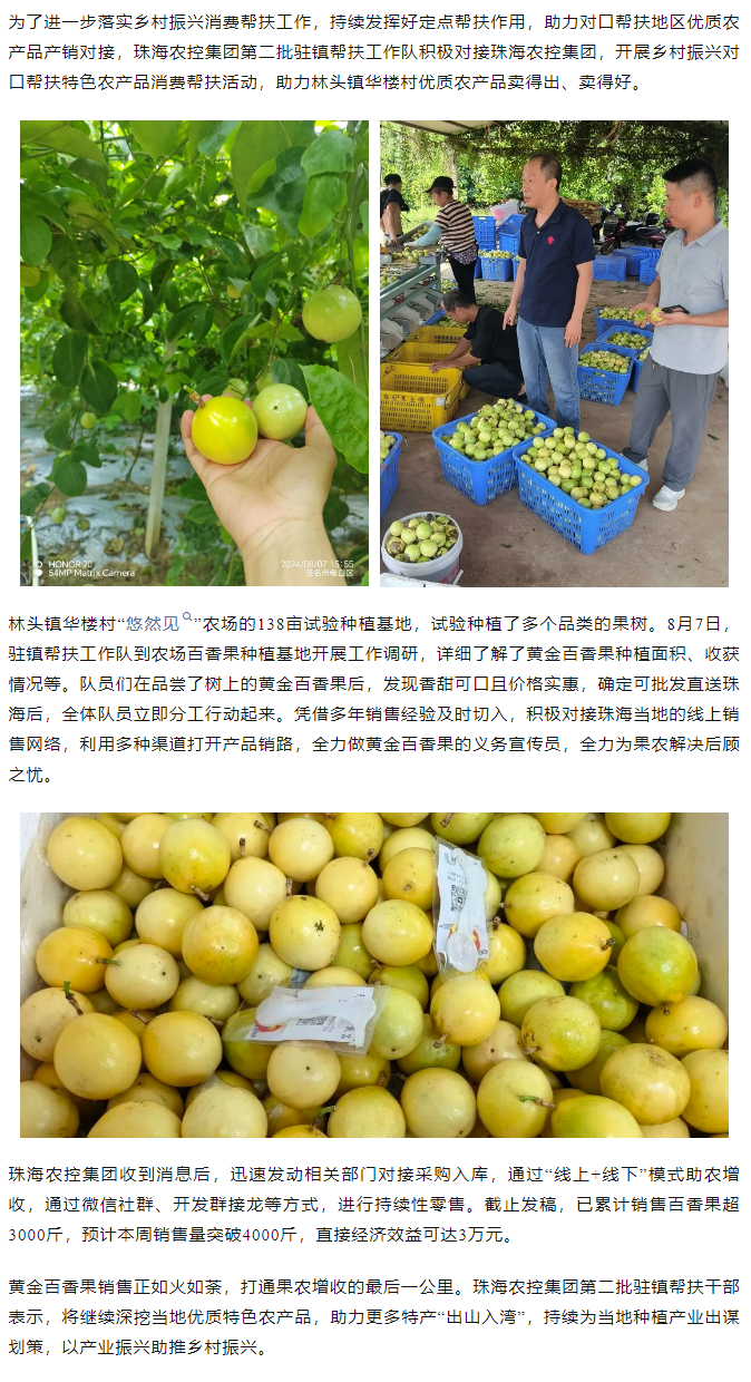 木瓜视频
助力产销对接 对口帮扶果香飘百里.png